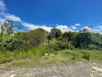 Terreno Comercial para Venda, em Barra Mansa, bairro Boa Vista
